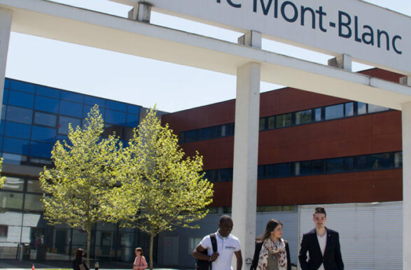 Formation continue en management : le Master MAE pour développer ses compétences sans interrompre sa carrière